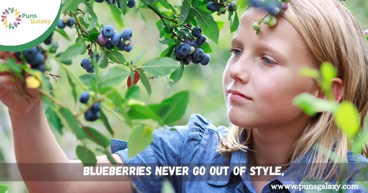 Blueberries never go out of style, just like a good joke.