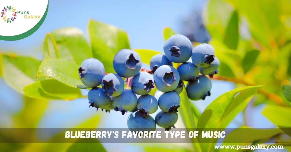 blueberry's favorite type of music
