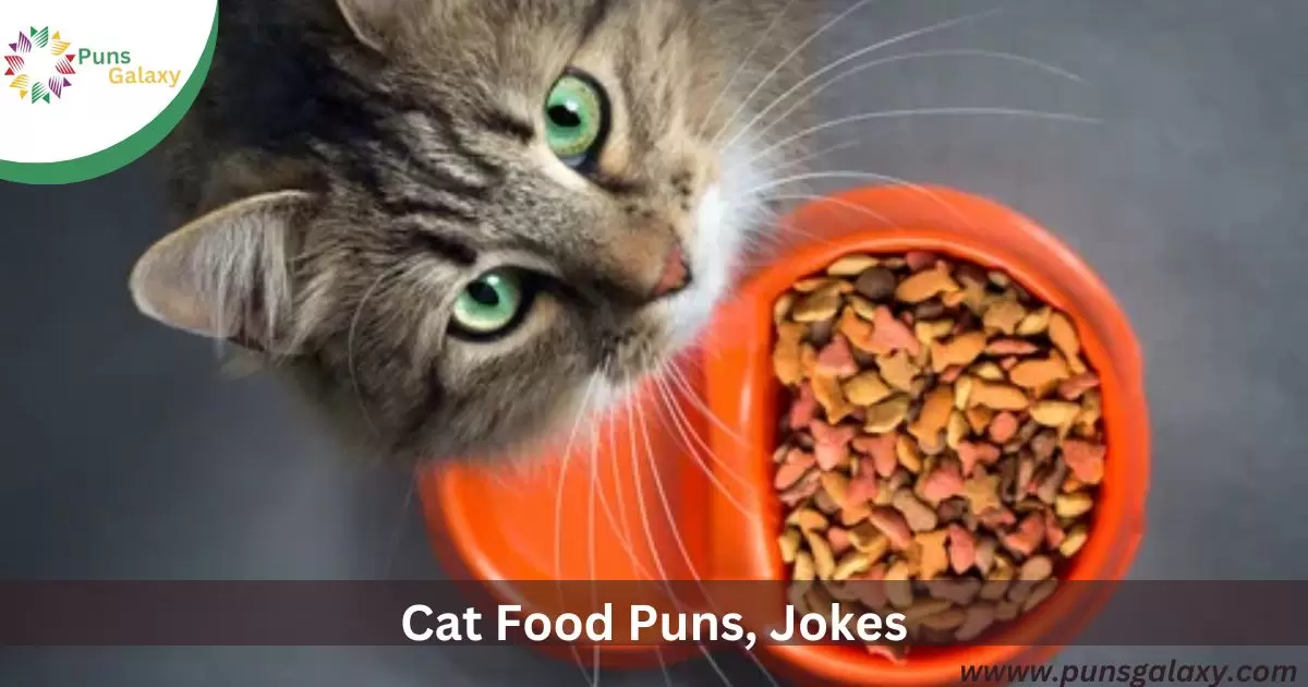 295 Funny Cat Food Puns Jokes And One Liners