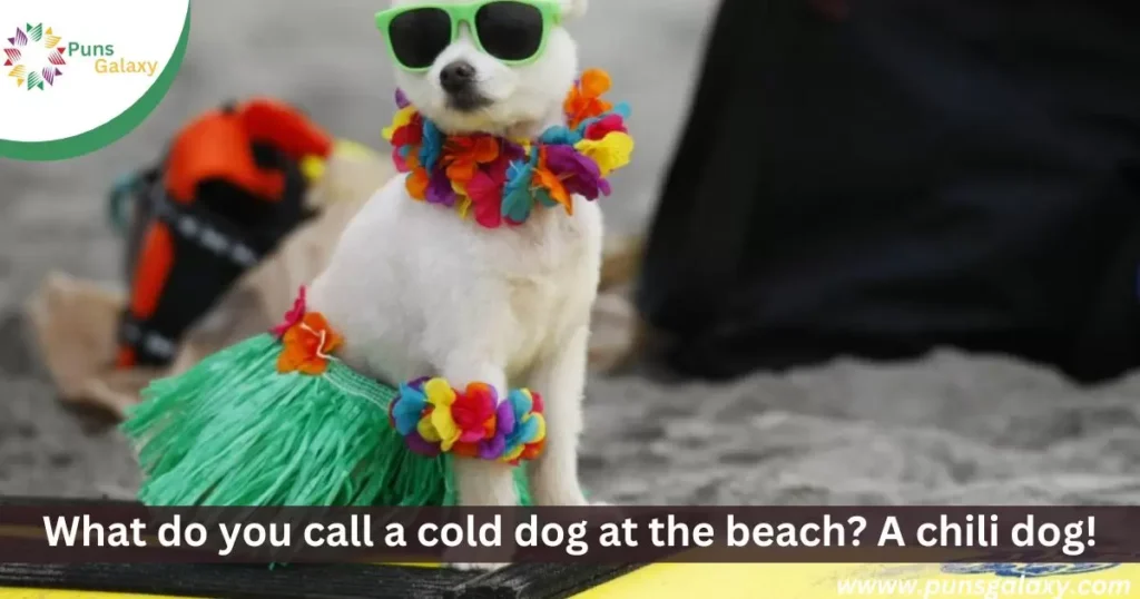 What do you call a cold dog at the beach? A chili dog!
