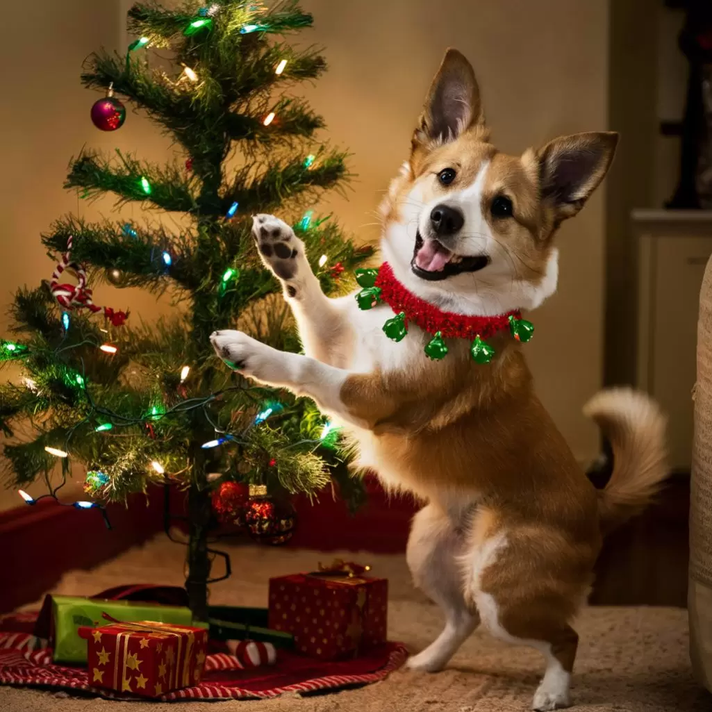 dog with a Christmas tree