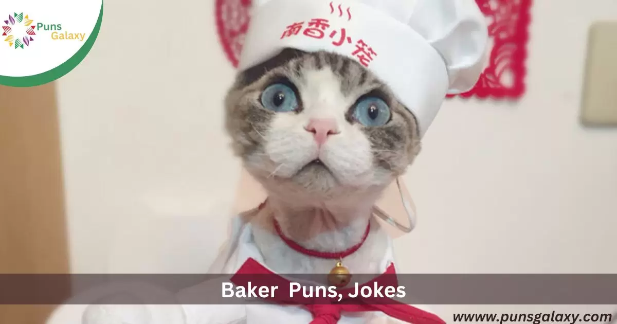 Baker Puns, Jokes