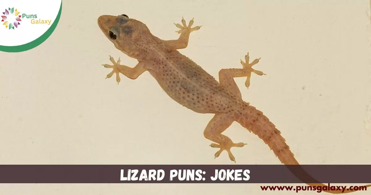 Lizard Puns Jokes