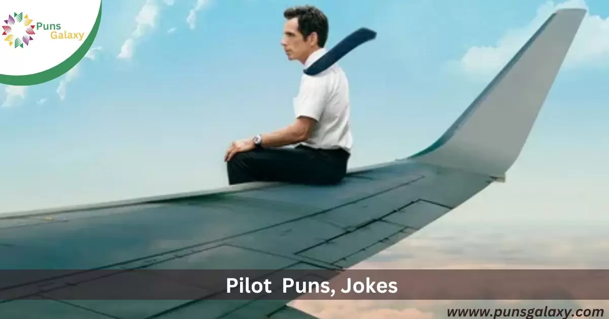 Pilot Puns, Jokes