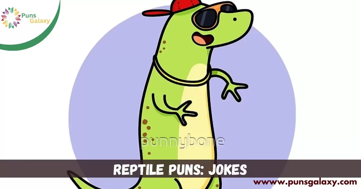 Reptile Puns: Jokes