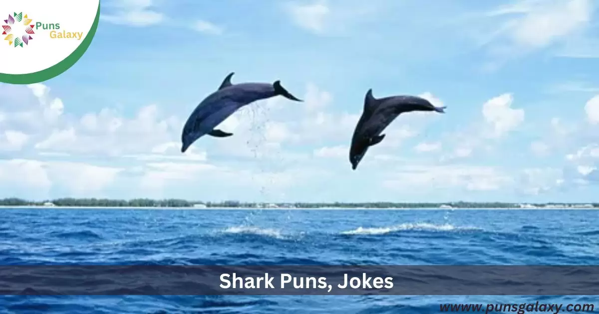 Shark Puns, Jokes