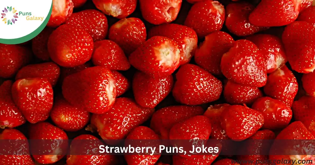 Strawberry Puns, Jokes