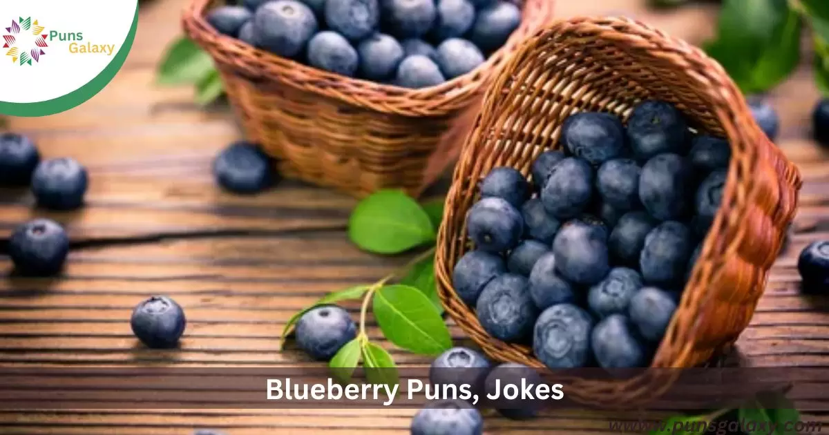 Blueberry Puns, Jokes