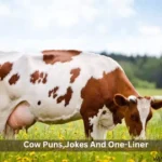Cow Puns,Jokes And One-Liner
