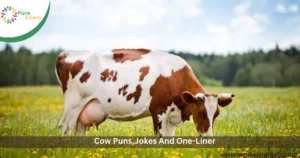 Cow Puns,Jokes And One-Liner