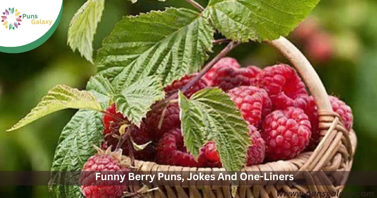Funny Berry Puns, Jokes And One-Liners