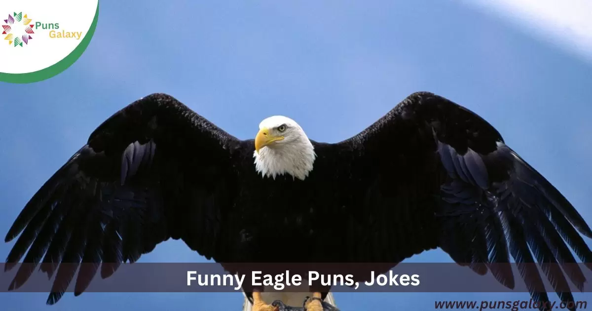 Eagle Puns, Jokes