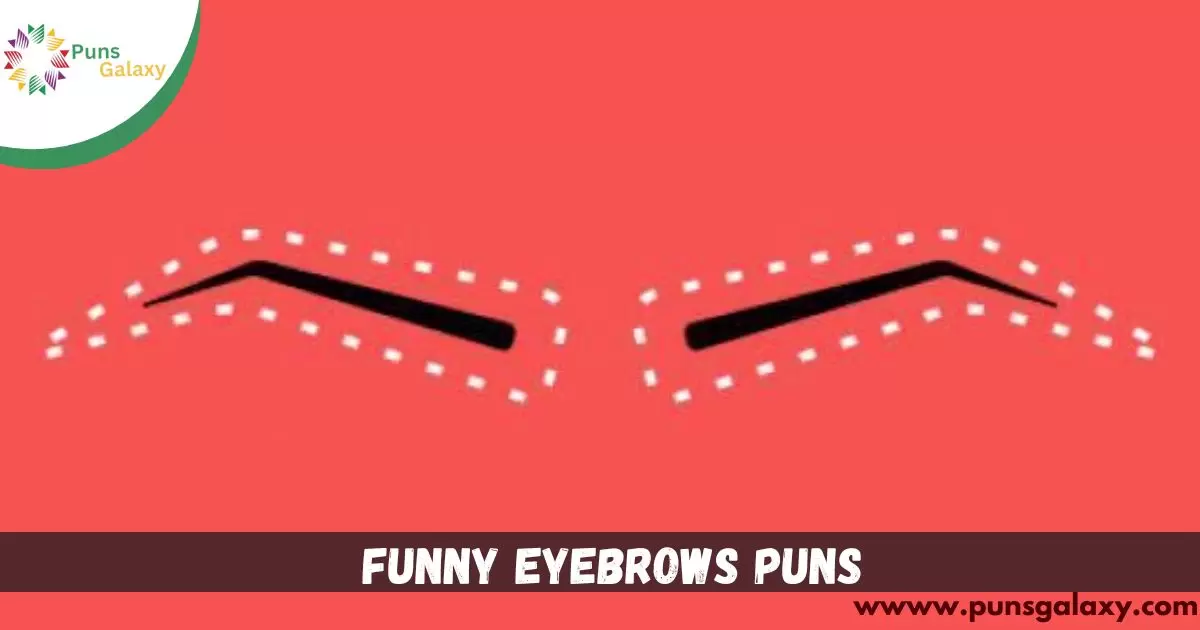 Funny Eyebrows Puns