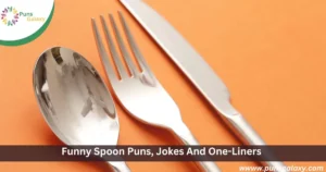 Funny Spoon Puns, Jokes And One-Liners