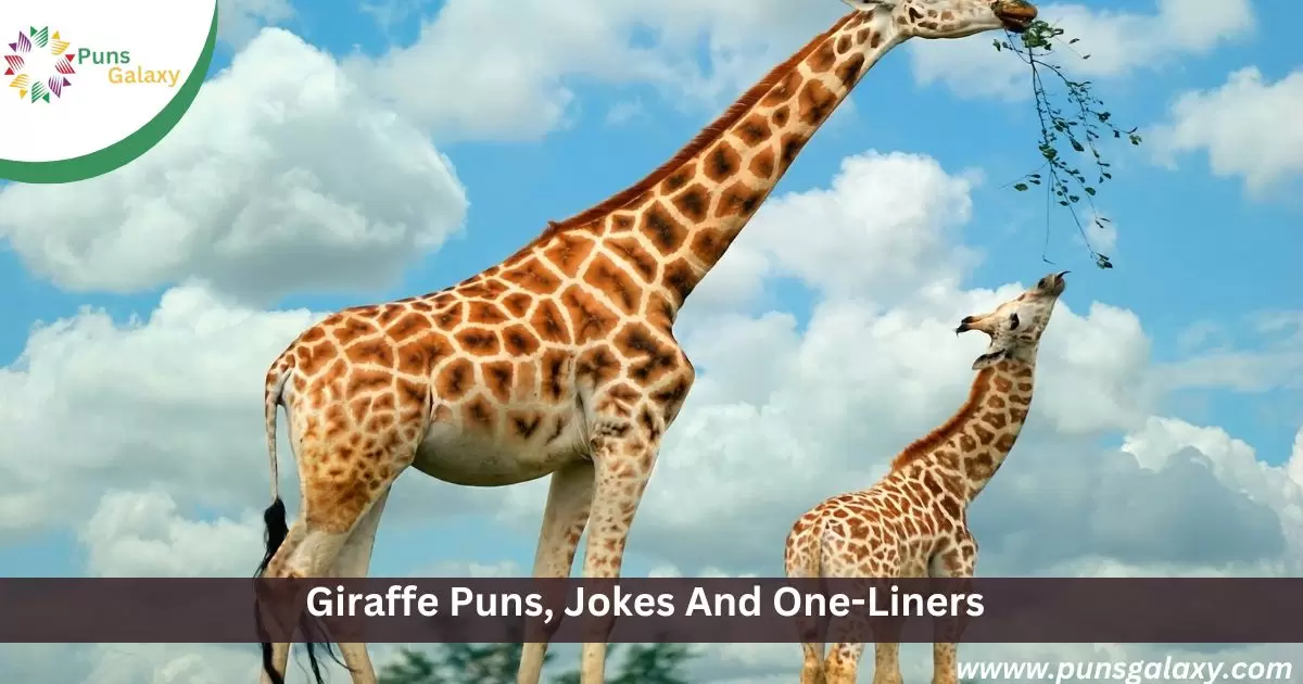 Giraffe Puns, Jokes And One-Liners