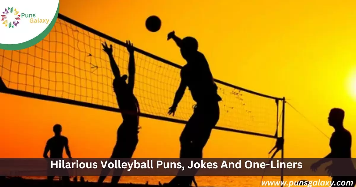 Hilarious Volleyball Puns, Jokes And One-Liners