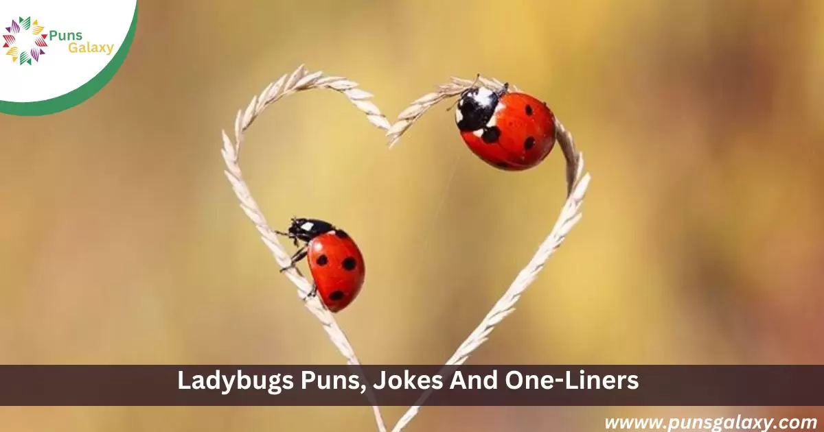 Ladybugs Puns, Jokes And One-Liners