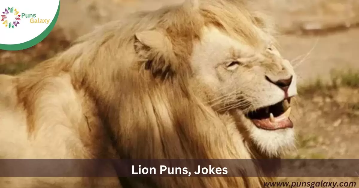 Lion Puns, Jokes