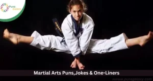 Martial Arts Puns,Jokes & One-Liners