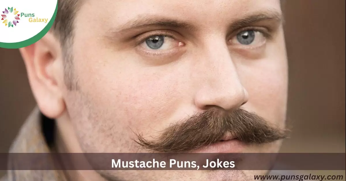 Mustache Puns, Jokes