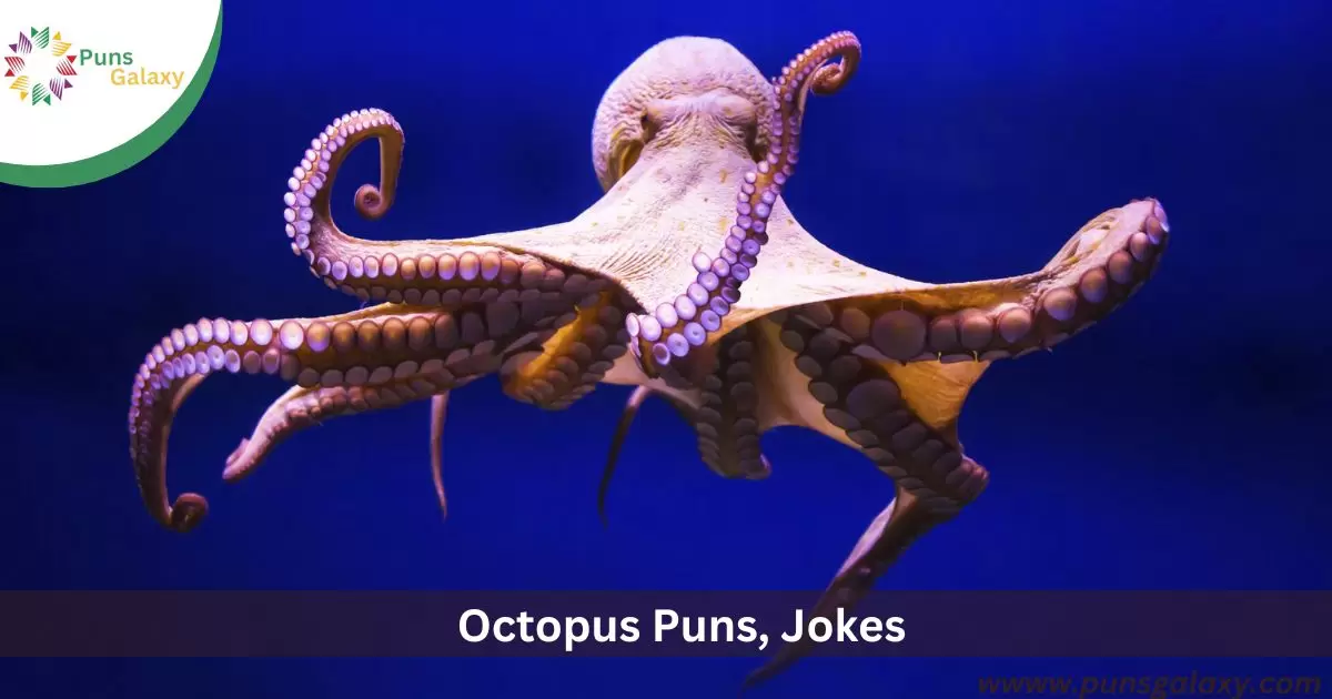 Octopus Puns, Jokes