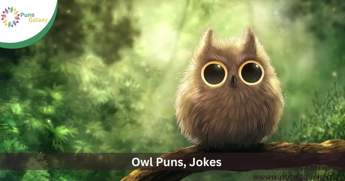 Owl Puns, Jokes