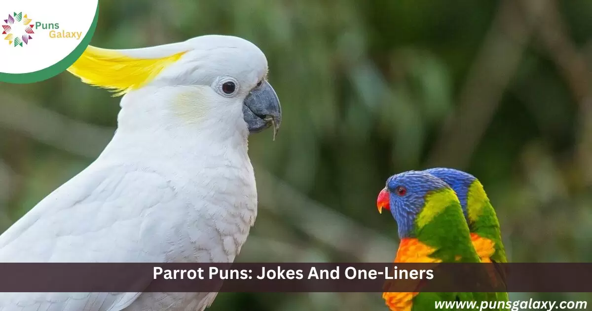 Parrot Puns: Jokes And One-Liners