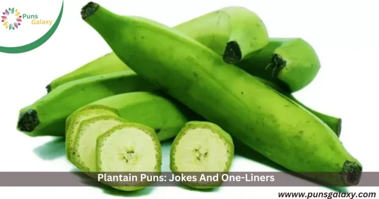 Plantain Puns: Jokes And One-Liners