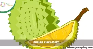 Durian Puns,Jokes