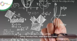 Funny Calculus Puns, Jokes And One-Liners