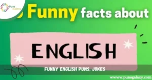 Funny English Puns, Jokes
