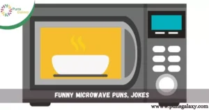 Funny Microwave Puns, Jokes