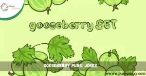 Gooseberry Puns: Jokes