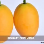 Kumquat Puns: Jokes