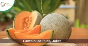 Cantaloupe Puns: Jokes