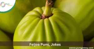 Feijoa Puns: Jokes