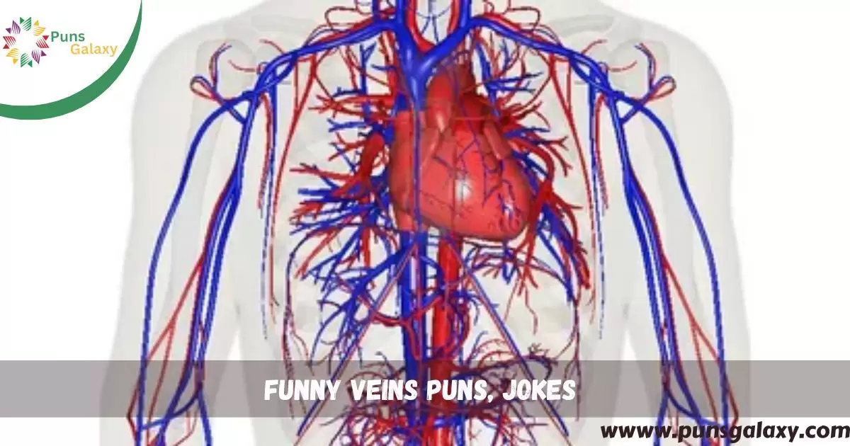 Funny Veins Puns, Jokes