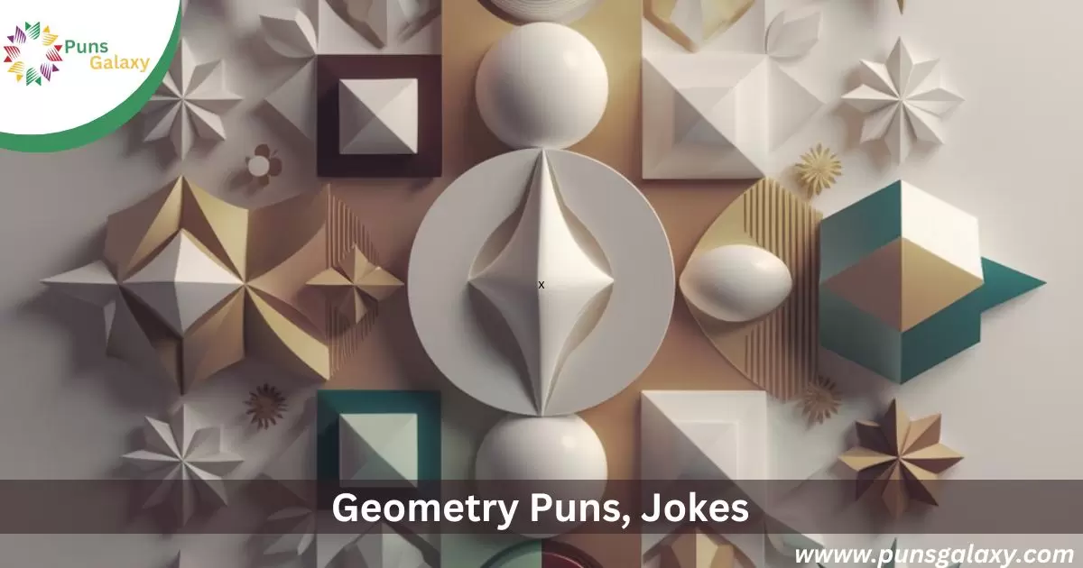 Geometry Puns Jokes