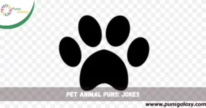Pet Animal Puns: Jokes