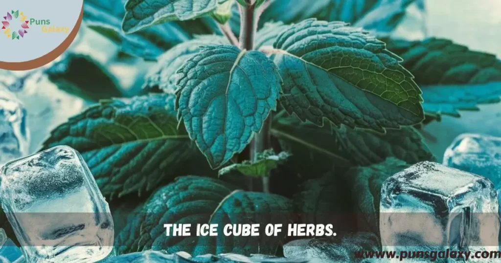 the ice cube of herbs.