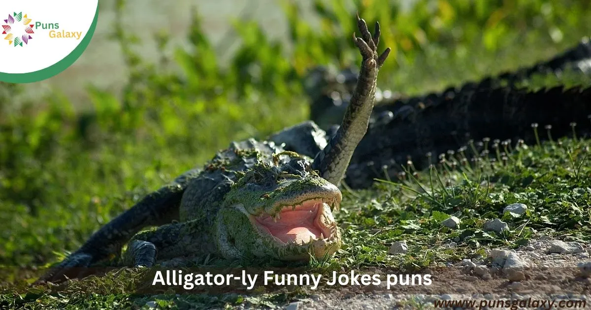 Alligator-ly Funny Jokes & Puns