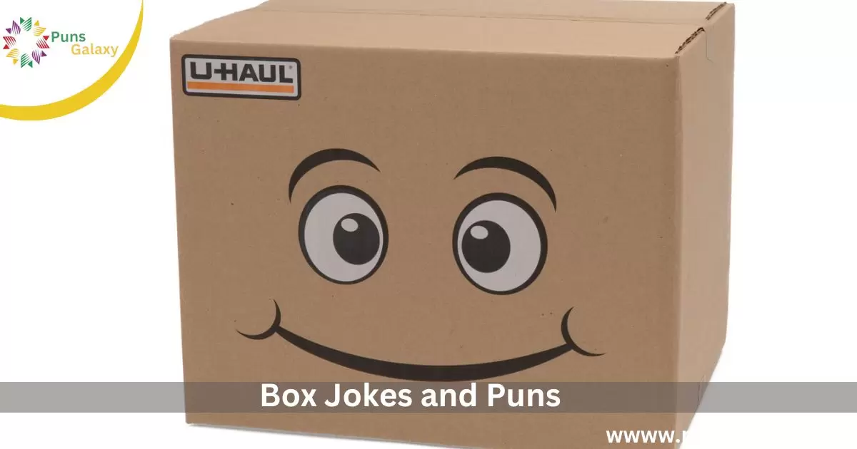 Box Jokes and Puns