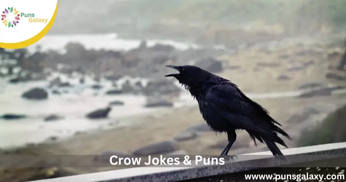 Crow Jokes & Puns