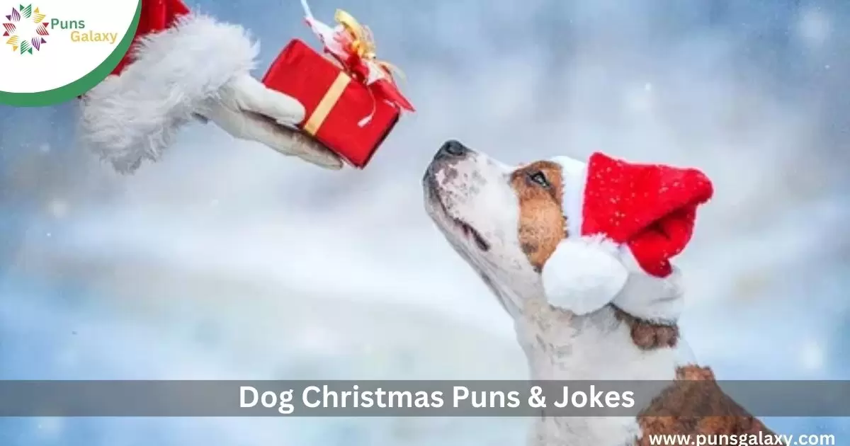 Dog Christmas Puns & Jokes