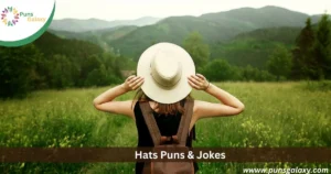 Hats Puns & Jokes .