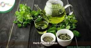 Herb Puns & Jokes