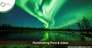 Illuminating Puns & Jokes