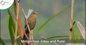 Melon-ious Jokes and Puns