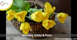 Monday Jokes & Puns