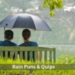 Rain puns and quips